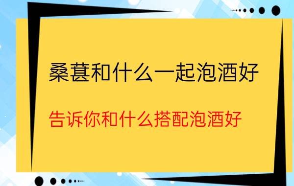 桑葚和什么一起泡酒好 告诉你和什么搭配泡酒好